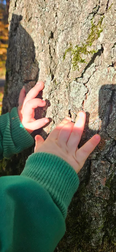 Kinderhände erforschen Baumrinde – Naturerlebnisse und sensorische Erfahrungen